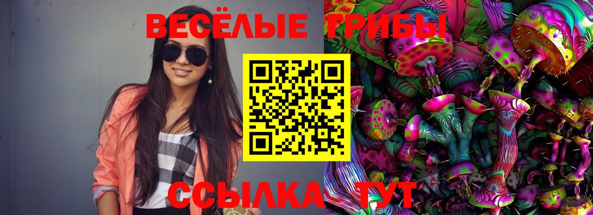 Холмск  Галлюциногенные грибы Psilocybe  Вход с VPN 