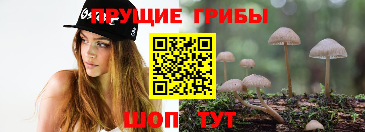Галлюциногенные грибы Psilocybine cubensis Холмск